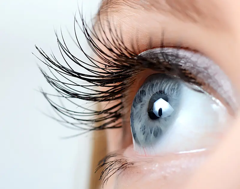 Cils